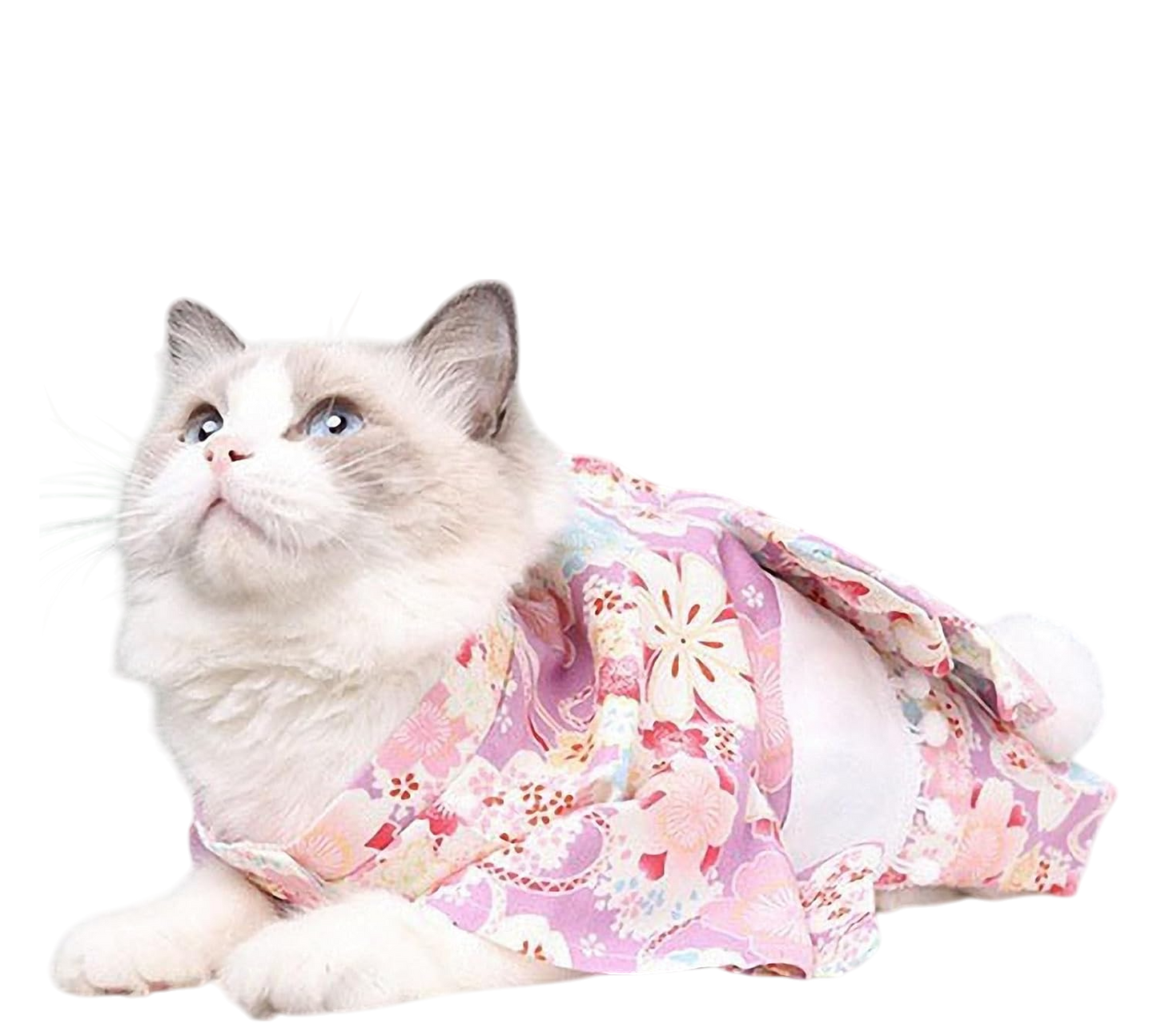 Blossom Charm Elegant Pet Kimono