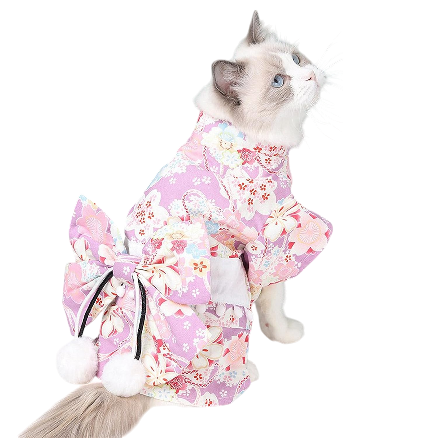 Blossom Charm Elegant Pet Kimono