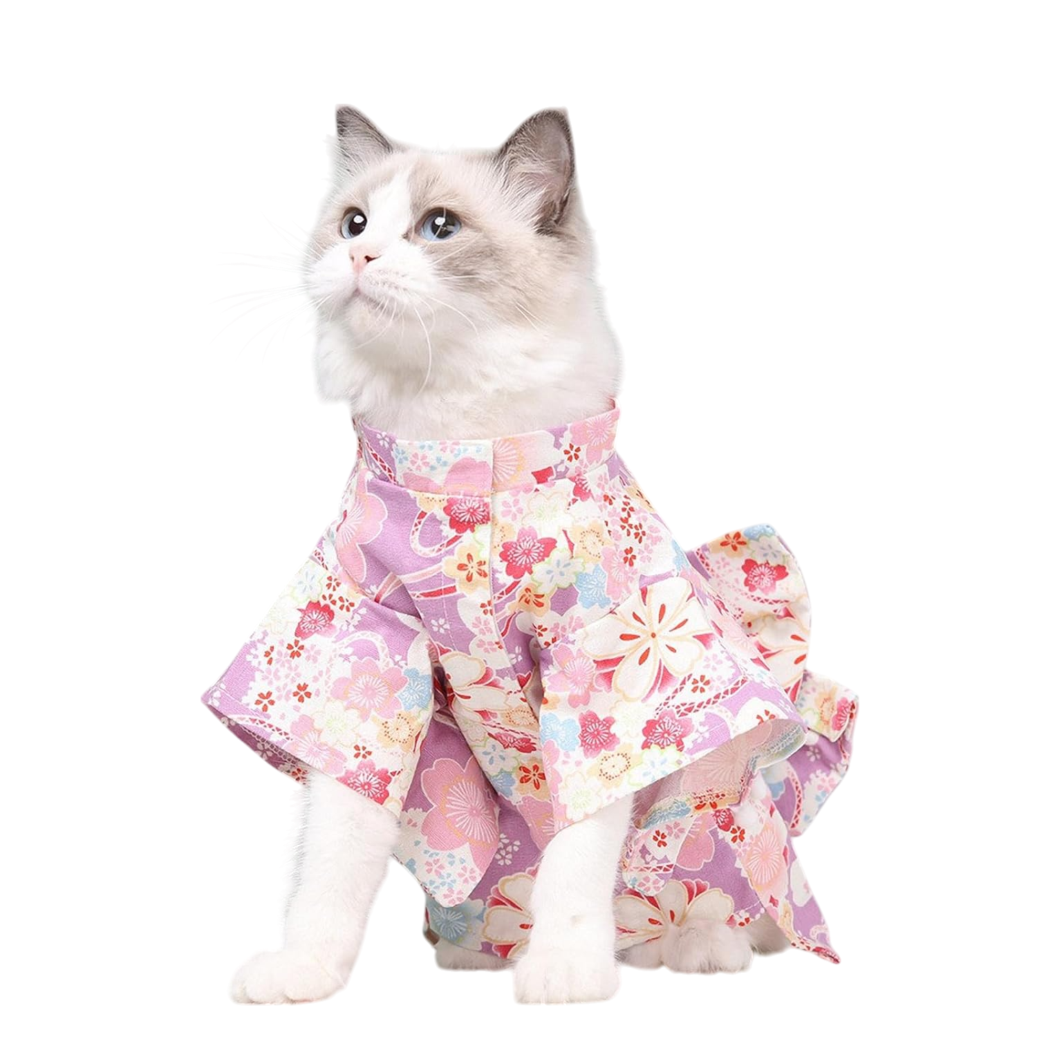 Blossom Charm Elegant Pet Kimono