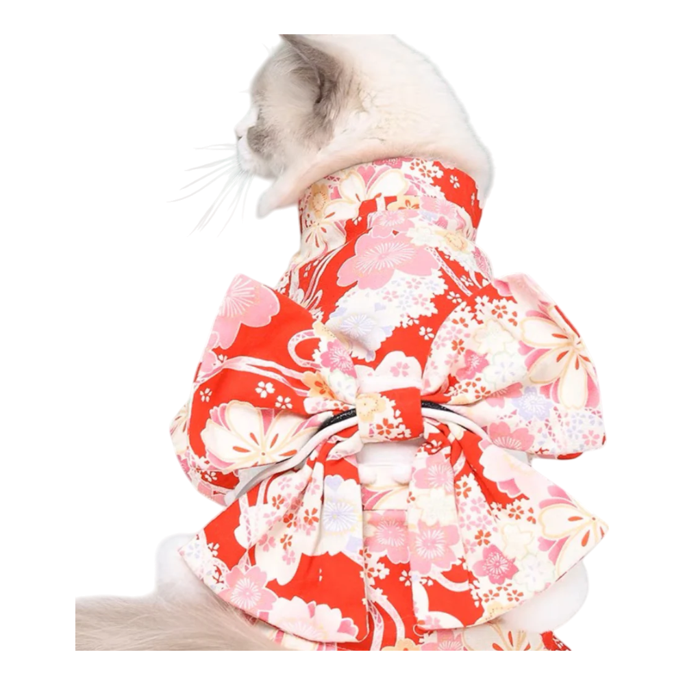 Blossom Charm Elegant Pet Kimono