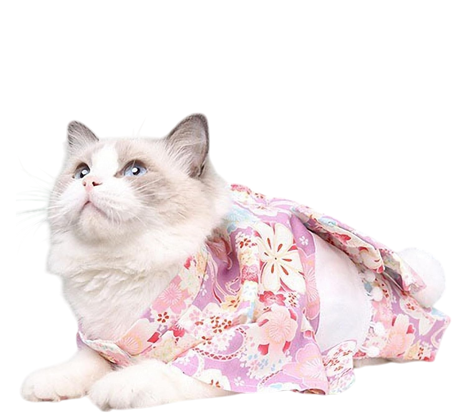 Blossom Charm Elegant Pet Kimono