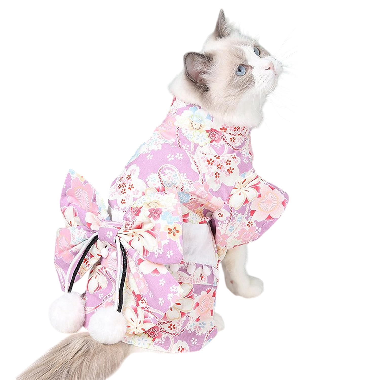 Blossom Charm Elegant Pet Kimono